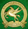 Singapore Volunteer Corps bi-metal Cap Badge circa 1928-42, J.R. Gaunt London 